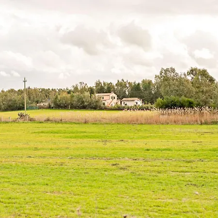 Homes In The Lagoons Of * Santa Giusta