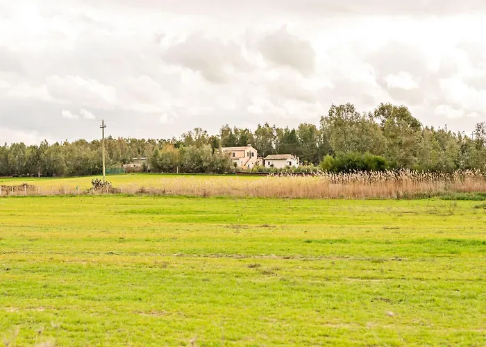 Homes In The Lagoons Of * Santa Giusta